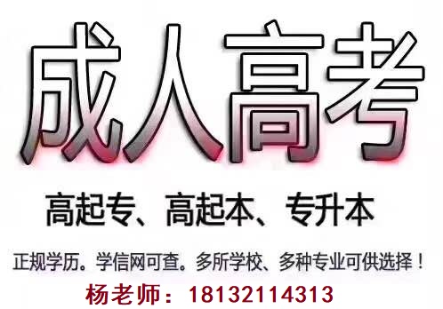 河北成人高考加分政策是什么？