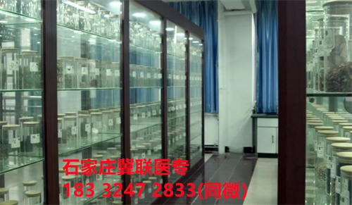 中專中藥專業(yè)能考哪些證書？