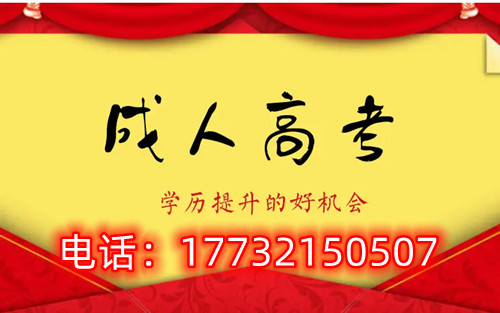 干貨！備考必讀，成考不踩雷！