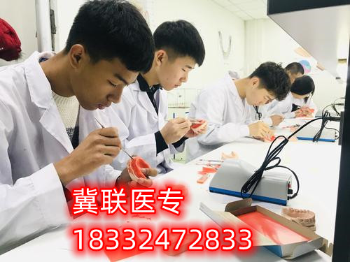 石家莊冀聯(lián)醫(yī)學(xué)中專學(xué)校能學(xué)牙醫(yī)嗎？