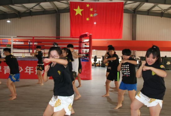 石家莊開設體育專業(yè)、武術專業(yè)的學校